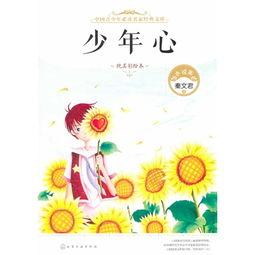 书尽少年心,青春岁月的笔触与梦想